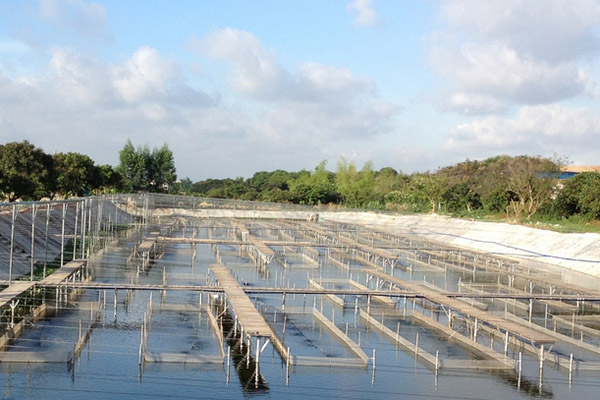 臭氧机在水产养殖与加工行业的应用(图1)