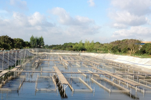 臭氧机在水产养殖与加工行业的应用(图1) 臭氧机在水产养殖与加工行业的应用(图1)